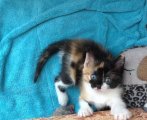 20201107_135319.jpg