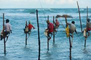 stilt-fishermen-sri-lanka-traditional-fishing-pius-lee.jpg