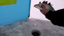 VID_20201128_130611.mp4_000419577.png