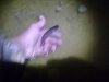 200720131361.jpg