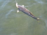 IMG_0003.jpg