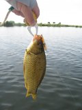 IMG_1196.jpg