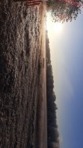 IMG-20201210-WA0000.jpeg