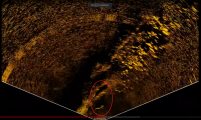 111.png