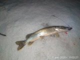IMG_20201211_195327.jpg