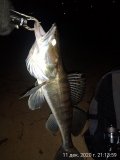 IMG_20201211_211359.jpg