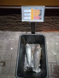 IMG_20201212_172056.jpg