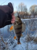 IMG_20201212_114000.jpg