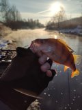 IMG_20201212_131125.jpg