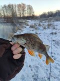 IMG_20201212_093933.jpg