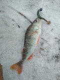 IMG_20201213_091510.jpg