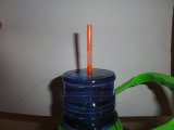 DSC08655.JPG