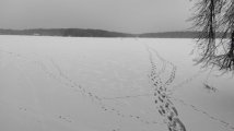 IMG-20201213-WA0005.jpeg