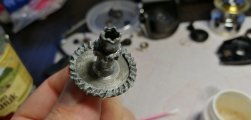 IMG_20201212_105437.jpg