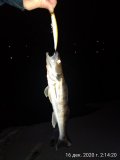 IMG_20201216_021420.jpg