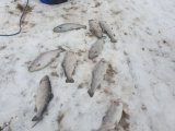 IMG-20201215-WA0001.jpg