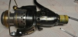 IMG_20201213_103134.jpg