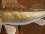 PC210036.JPG