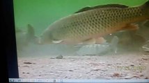 20201221_164902.jpg