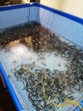 IMG_20201221_122919.jpg
