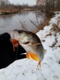 20201221_130359.jpg