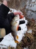 20201221_131151.jpg