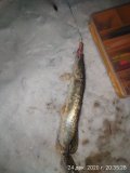 IMG_20201224_203528.jpg