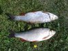 DSC00066.jpg