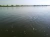 DSC00069.jpg