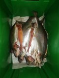 IMG_20201226_141144.jpg
