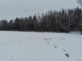 IMG_20210103_084935.jpg