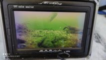 IMG_20201225_144221.jpg