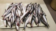 20201205_191339.jpg