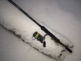 IMG_20210102_162506575.jpg