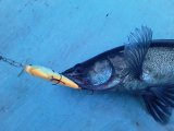 20200712_223932.jpg
