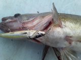 20200621_231505.jpg