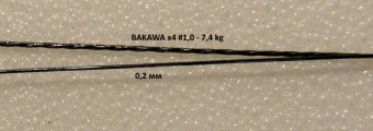 bakawa 1,0.png