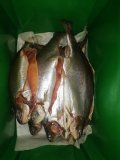 IMG-20201226-WA0004.jpg