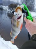 IMG_20210124_083515.jpg
