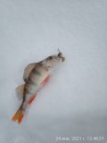 IMG_20210124_124821.jpg