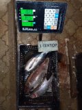 IMG_20210126_181101.jpg