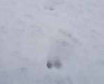 DSC00464.JPG