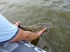 DSC02795.jpg