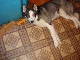 DSC06713.JPG