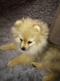 IMG_20210130_100111.jpg