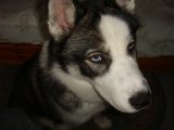 DSC06715.JPG