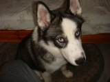 DSC06716.JPG