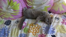 IMG_2622.JPG