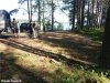 f529eba2d6e6.jpg