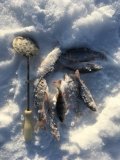 IMG_1059.JPG